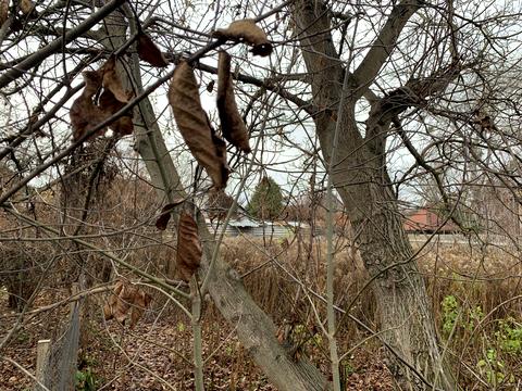 ділянка за адресою 2-га Синьоозерна вулиця