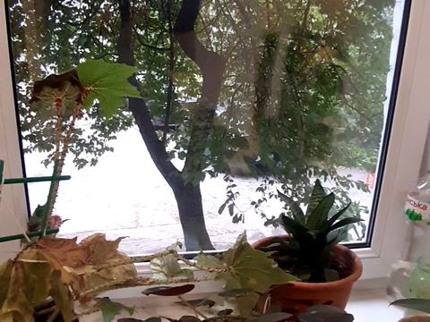 коммерческая по адресу Михайловская ул., 16-Б