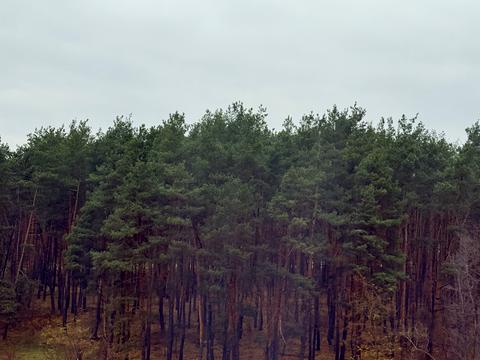 квартира по адресу Соборная ул., 2-К/11