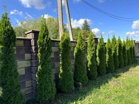 будинок за адресою Миколаївська