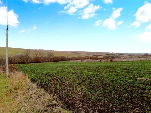 ділянка за адресою Грушевського, 22