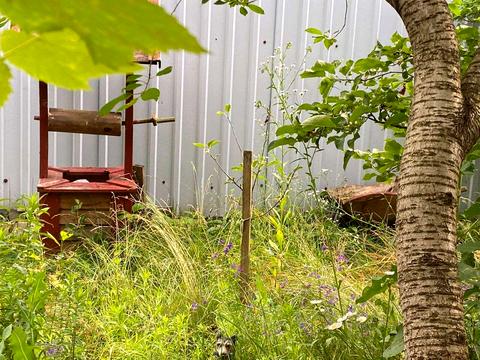 дом по адресу центральна