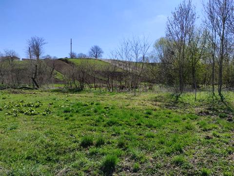 участок по адресу Королева Ак. пер., 14