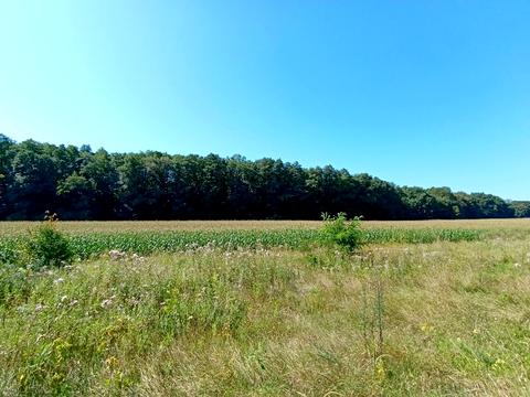 ділянка за адресою Фасад траси