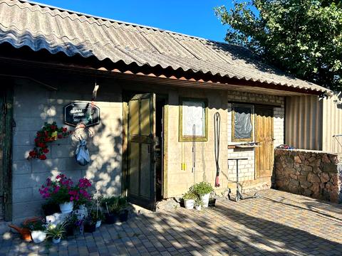 будинок за адресою Верхньодніпровськ, Зелена вул., 25