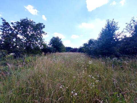 ділянка за адресою Дружби Народів, 18