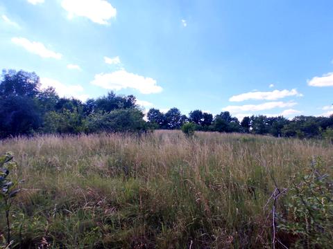 ділянка за адресою Дружби Народів, 18