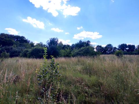 ділянка за адресою Дружби Народів, 18