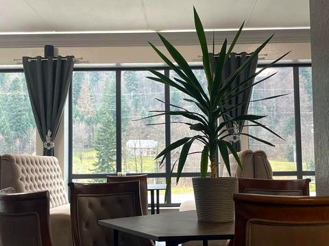 коммерческая по адресу с. Микуличин, Грушевского ул., 150