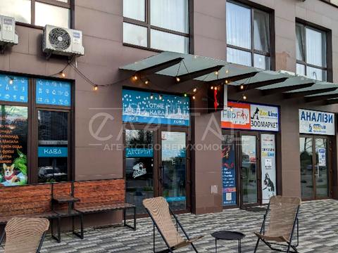 комерційна за адресою Родини Крістерів вул., 18/6