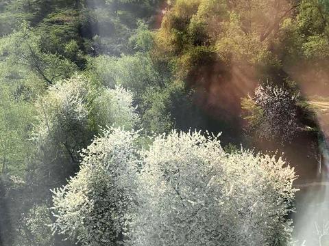 квартира за адресою Минайська вул., 10