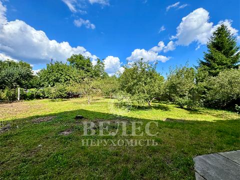 дом по адресу с. Софиевская борщаговка, Каштанова, 16