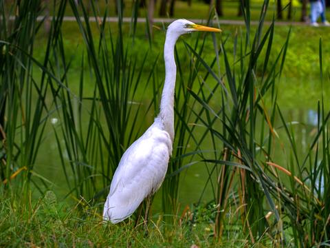 квартира за адресою Воскресенська вул., 14-Д