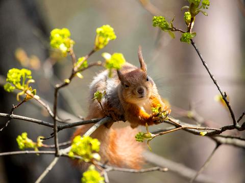 квартира за адресою Воскресенська вул., 14-Д