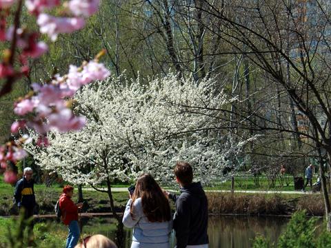 квартира за адресою Воскресенська вул., 14-Д
