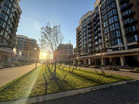 квартира по адресу Радісна, 6