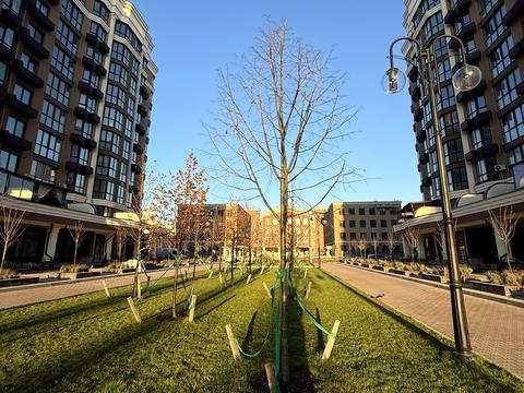 квартира по адресу Радісна, 6