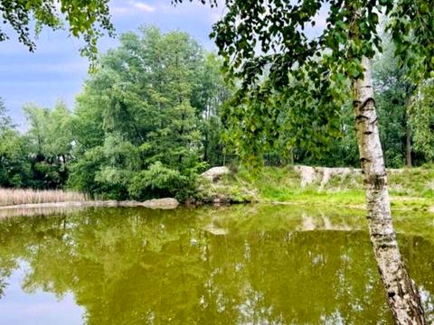 будинок за адресою Залужний пров., 1/41