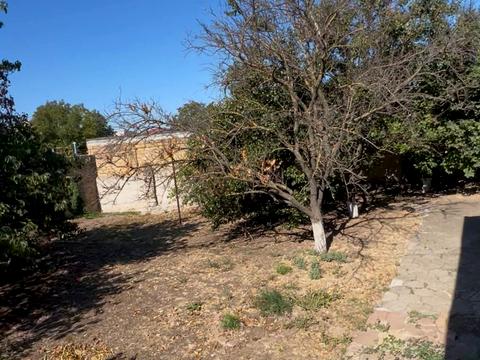 будинок за адресою Людмили Гінзбург пров. (Щорса)