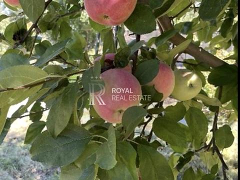 дом по адресу Молодіжна, 1