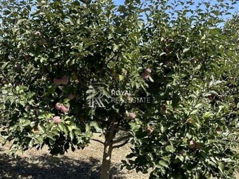 дом по адресу Молодіжна, 1