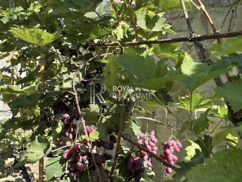 дом по адресу Молодіжна, 1