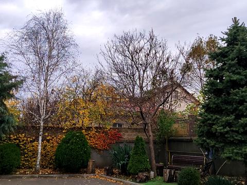 квартира по адресу Таїрова ул., 6/1