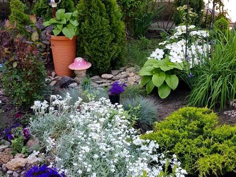 квартира по адресу Таїрова ул., 6/1