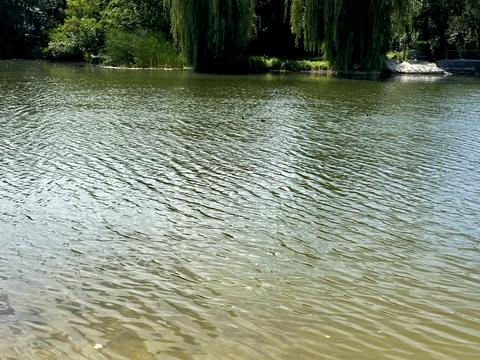 будинок за адресою 23-тя Садова вул.