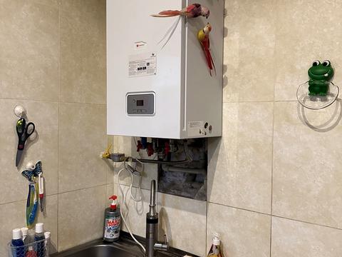 будинок за адресою Центральна вул.