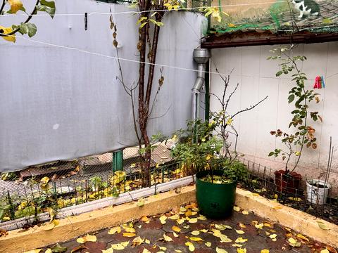 квартира за адресою Ковальська вул., 44