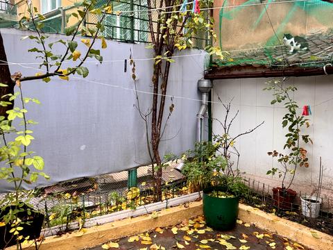 квартира за адресою Ковальська вул., 44