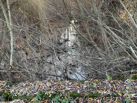 ділянка за адресою Канівська вул.