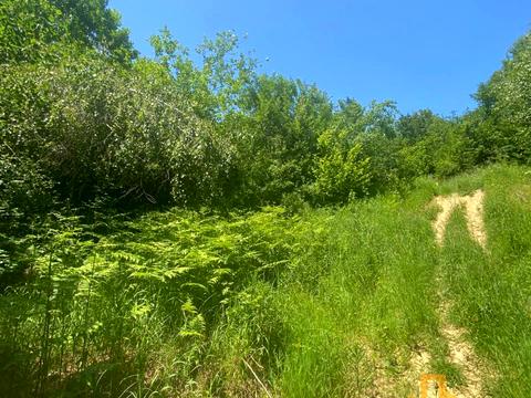 ділянка за адресою 