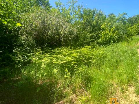 ділянка за адресою 