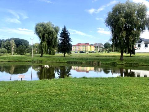 ділянка за адресою с. Борщовичі, 