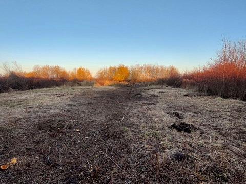 ділянка за адресою с. Лисиничі, Нова