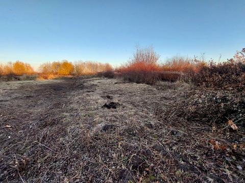 ділянка за адресою с. Лисиничі, Нова