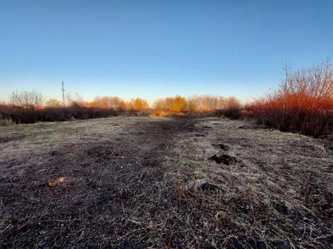 ділянка за адресою с. Лисиничі, Нова