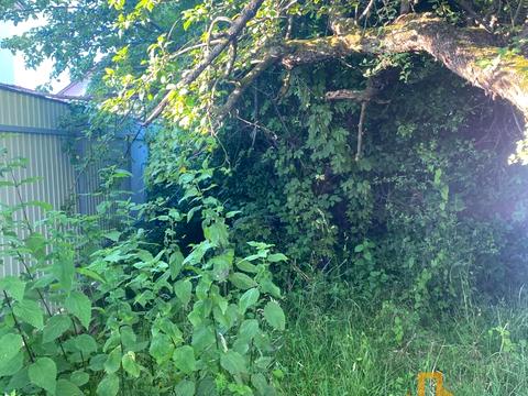 ділянка за адресою 