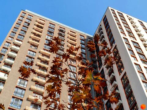 квартира за адресою Дніпровська набережна вул., 20-Б