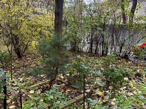 квартира за адресою Середньофонтанська вул., 17/13