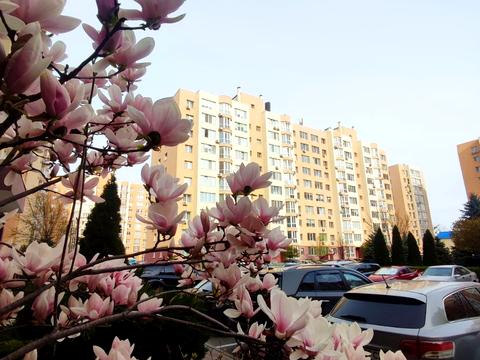 квартира за адресою Героїв Небесної Сотні просп., 26/13