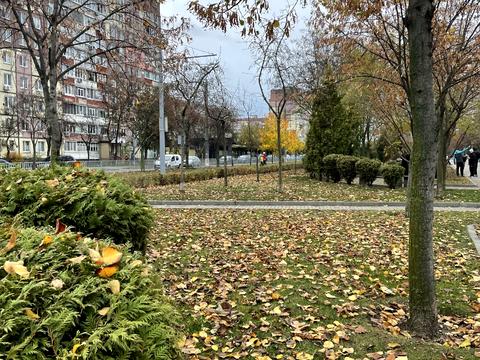 квартира за адресою Миру просп., 71