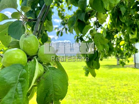 дом по адресу Центральная ул. (Комсомольская)