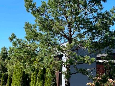 дом по адресу Некрасова ул. (Некрасова), 1-А