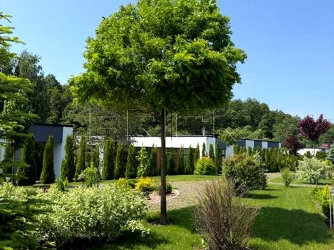 дом по адресу Некрасова ул. (Некрасова), 1-А