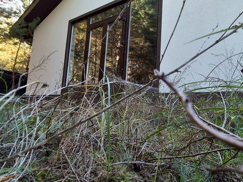 дом по адресу Ялинкова