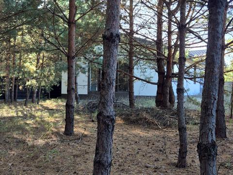 дом по адресу Ялинкова