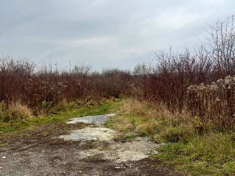 ділянка за адресою с. Солонка, 